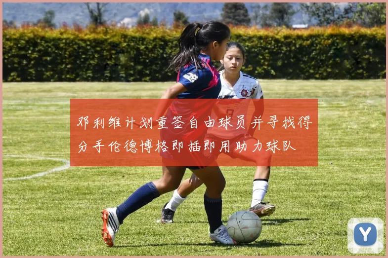 邓利维计划重签自由球员并寻找得分手伦德博格即插即用助力球队
